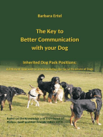 The Key to Better Communication with your Dog