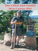 Das Glück kam lautlos - Mein Camino 2018