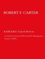 KAIKAKU: Ups & Downs: A Guide for Interim CROs and DIY Management Teams in SMEs.