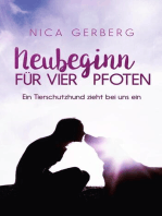 Neubeginn Für Vier Pfoten