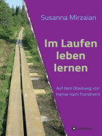 Im Laufen leben lernen: Auf dem Olavsweg von Hamar nach Trondheim