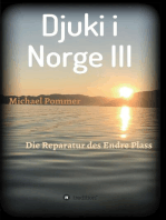 Djuki i Norge III: Die Reparatur des Endes Plass