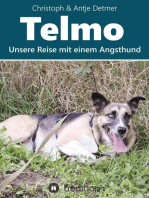 Telmo: Unsere Reise mit einem Angsthund