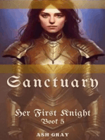 Sanctuary: Her First Knight, #5
