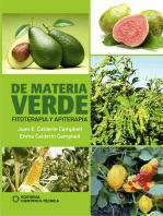 De materia verde: Fitoterapia y apiterapia