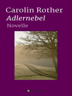 Adlernebel: Novelle