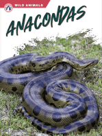 Anacondas