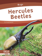 Hercules Beetles