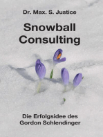 Snowball Consulting: Die Erfolgsidee des Gordon Schlendinger