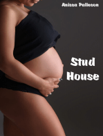 Stud House
