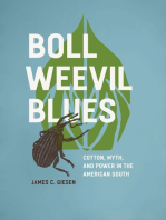 Boll Weevil Blues