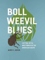 Boll Weevil Blues: Cotton, Myth, and Power in the American South