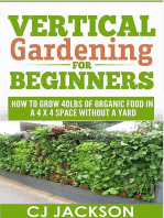 Vertical Gardening For Beginners