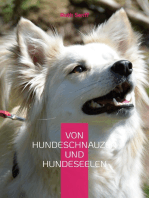 Von Hundeschnauzen und Hundeseelen: Geschichten über Schicksale und Leben unserer vierbeinigen Freunde