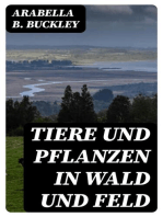 Tiere und Pflanzen in Wald und Feld