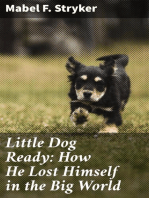 Little Dog Ready