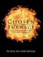 Chosen in the Furnace: A Testimony of Survival and a Guide to All Who Desire to be Encouragers