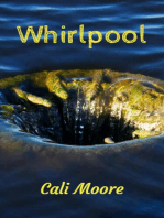 Whirlpool: Bonds of Friendship, #3