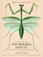 Innumerable Insects: The Story of the Most Diverse and Myriad Animals on Earth