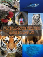 Critically Endangered Animals