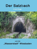 Der Salzbach und die "Wasserstadt" Wiesbaden