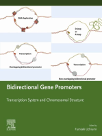 Bidirectional Gene Promoters: Transcription system and chromosomal structure