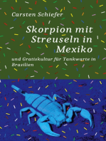Skorpion mit Streuseln in Mexiko und Gratis-Kultur für Tankwarte in Brasilien