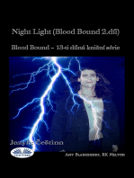 Night Light (Blood Bound 2.díl): Blood Bound – 13-Ti Dílná Knižní Série