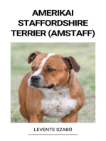 Amerikai Staffordshire Terrier (Amstaff)