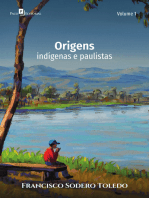 Origens: Indígenas e paulistas