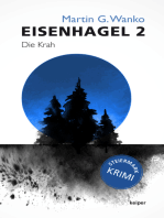 Eisenhagel 2