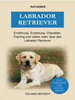 Labrador Retriever: Ernährung, Erziehung, Charakter, Training und vieles mehr über den Retriever