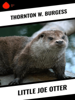 Little Joe Otter