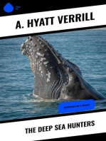 The Deep Sea Hunters: Adventures on a Whaler
