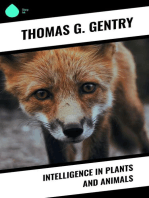 Intelligence in Plants and Animals
