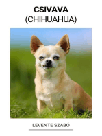 Csivava (Chihuahua)