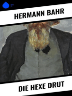 Die Hexe Drut