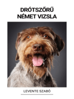 Drótszőrű Német Vizsla