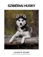 Szibériai Husky