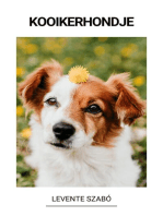 Kooikerhondje