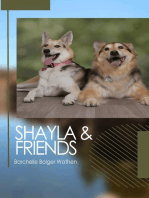 Shayla and Friends