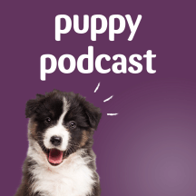 Pets at Home Puppy Podcast