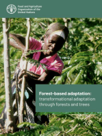 Forest-Based Adaptation: Transformational Adaptation through Forests and Trees