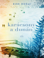 Karácsony a Dunán