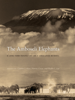 The Amboseli Elephants: A Long-Term Perspective on a Long-Lived Mammal