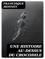 Une histoire au-dessus du crocodile