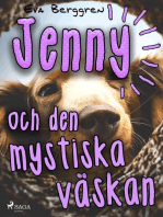 Jenny och den mystiska väskan