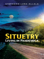 Situetry