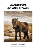 Izlandi Póni (Izlandi Lovak)