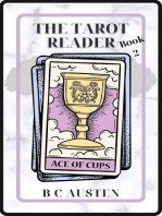 The Tarot Reader Bk2